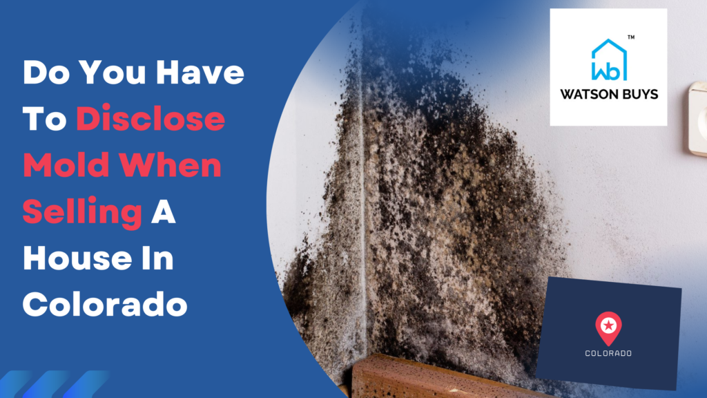 Disclosing mold when selling a house in Colorado
