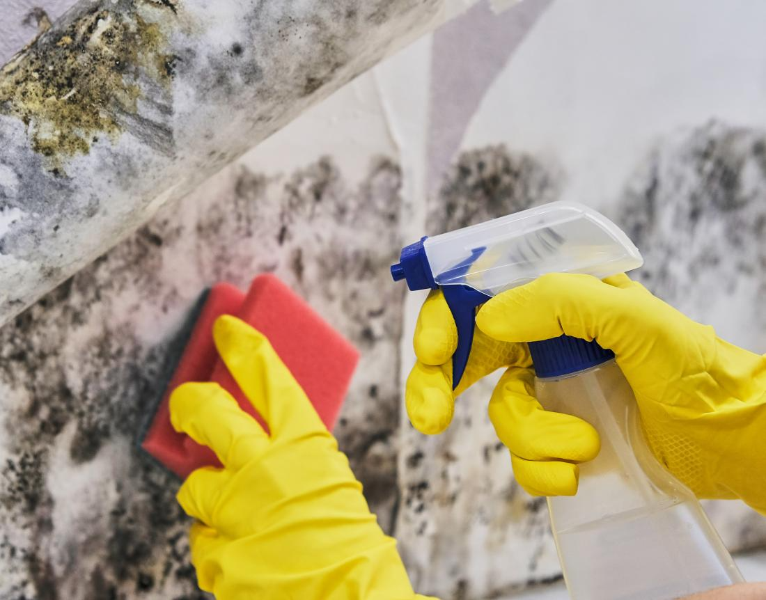 Do you have to disclose mold when selling a house in colorado
