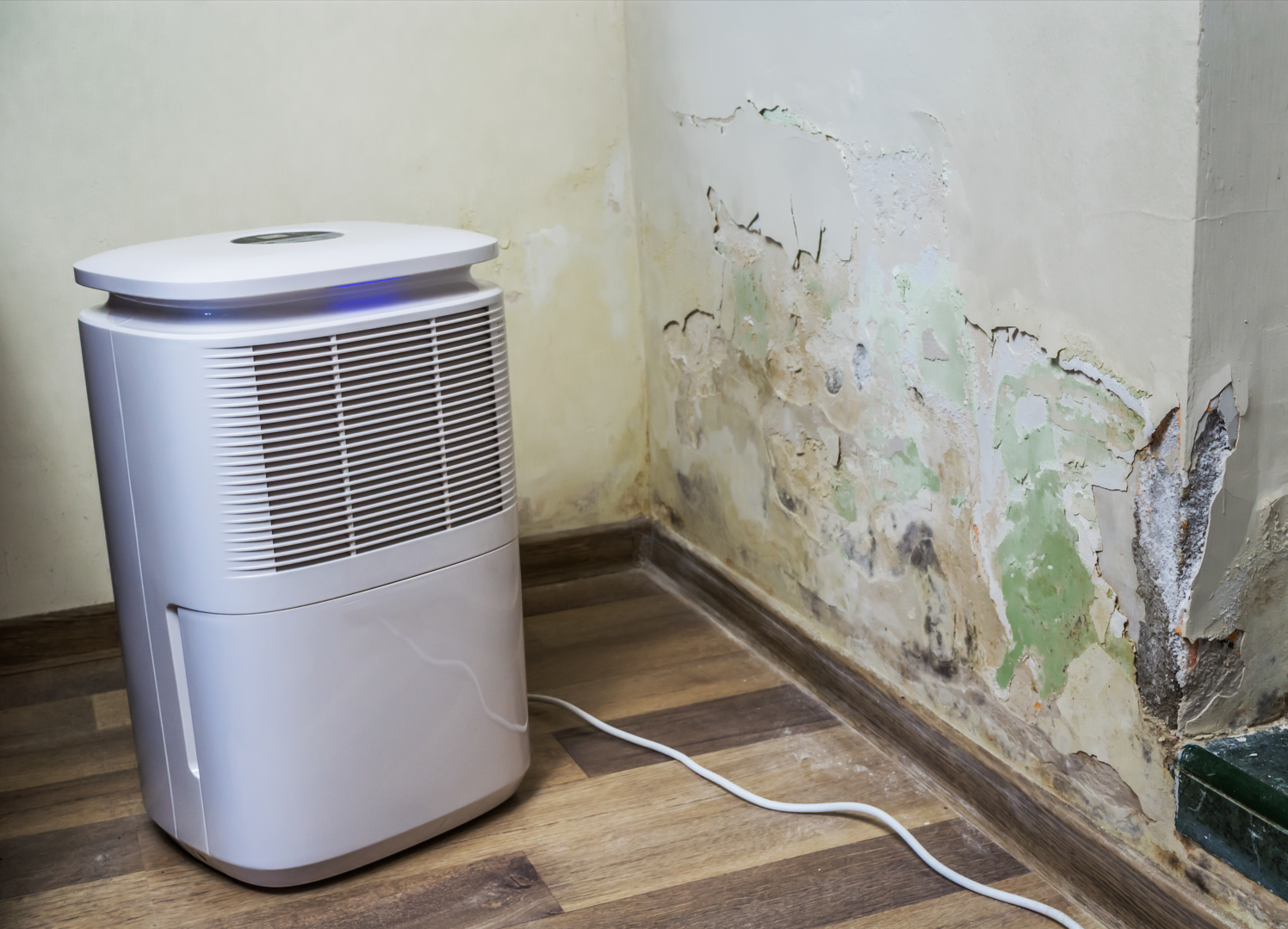 Do you have to disclose mold when selling a house in colorado